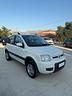 fiat-panda-1-3-mjt-s-s-4x4