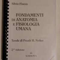 Netter Atlante di Anatomia