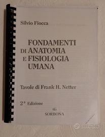 Netter Atlante di Anatomia