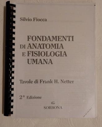 Netter Atlante di Anatomia