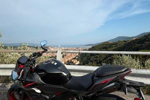 Z500 SE