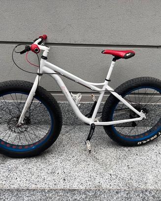 Fat bike