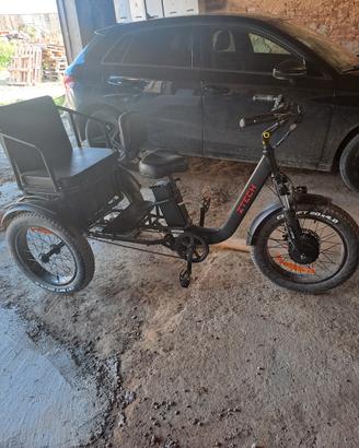 Triciclo elettrico