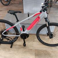 Whistle B-Race Nuova!