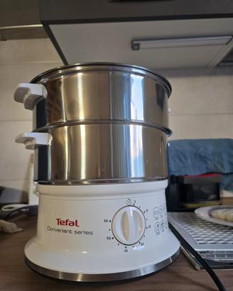 Vaporiera Tefal