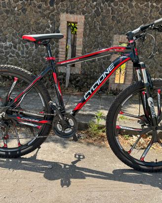 Mountain bike