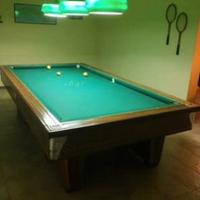 Biliardo professionale 