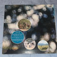 vinile Pink Floyd