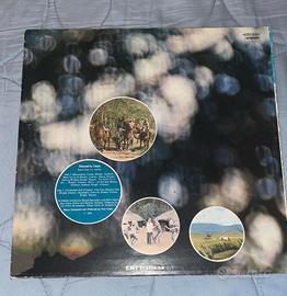 vinile Pink Floyd