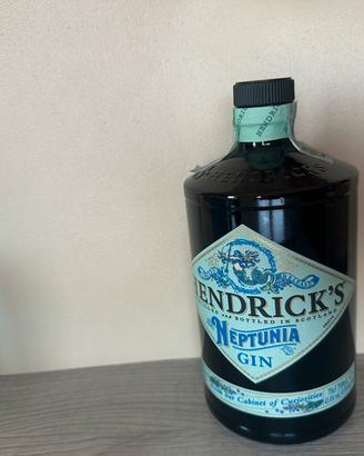 Bottiglia gin Endrick’s