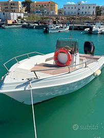 VIESTE Barca con motore Mercury 40 CV
