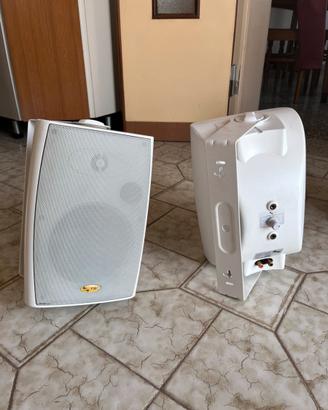 Coppia casse professionali FBT