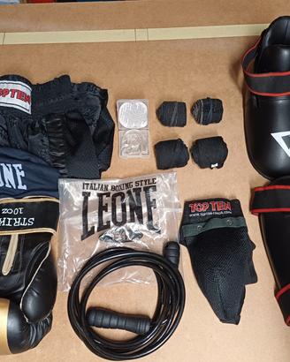 guantoni Leone paracolpi top ten per kick boxing