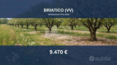 Immobile in asta di 854 m² a Briatico