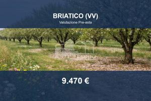 Immobile in asta di 854 m² a Briatico