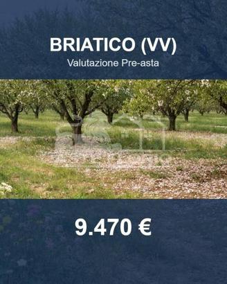 Immobile in asta di 854 m² a Briatico
