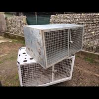 gabbia per cani
