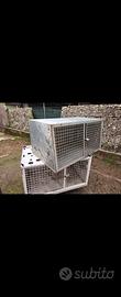 gabbia per cani