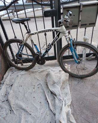 Bicicletta ragazzo