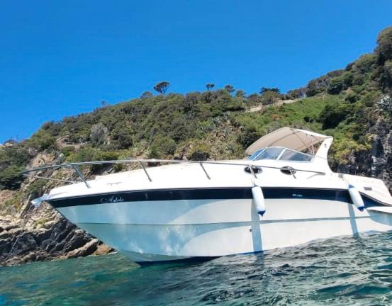 Bozzato solaria 25 del 2003 carrellabile