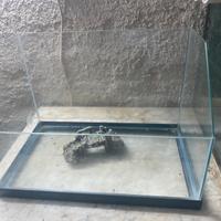 Tartarughiera come nuova