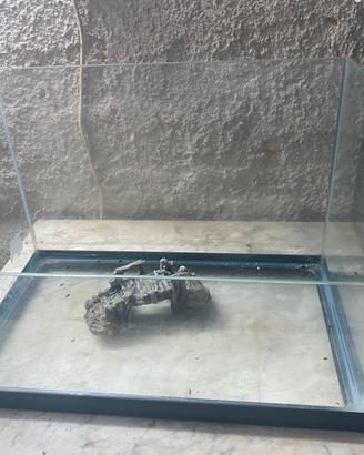 Tartarughiera come nuova