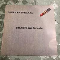 Stephen Schlaks Lp Vinile Sensitive And Delicate