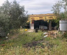 Ampio Terreno con doppio ingresso strada asfaltata
