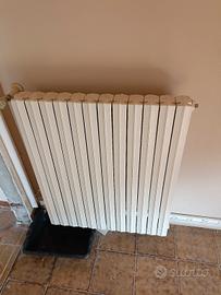 10 termosifoni in ghisa 