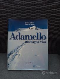 Adamello montagna viva