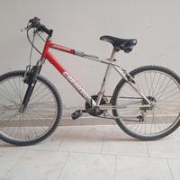 MTB Carnielli 24"