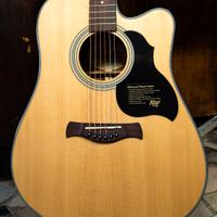 Chitarra Acustica Amplificata