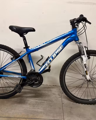 Mountain bike