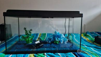 Acquario 