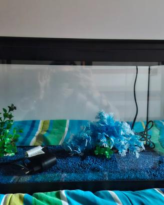 Acquario 