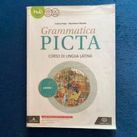 Grammatica PICTA - Lezioni 1 (ISBN: 9788828619536)
