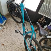 MTB TREK BICI