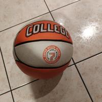 pallone da basket 