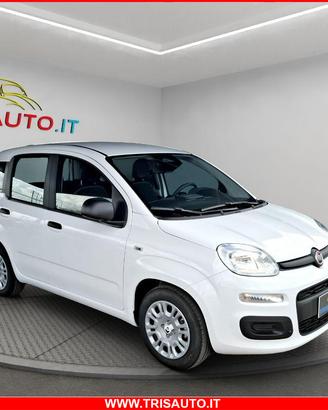 FIAT Panda 1.0 Hybrid Pandina POP NEOPATENTATI