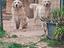 Immagine 6