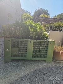 BINS PLASTICA / CASSONI FRUTTA PER FARE ORTI