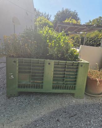BINS PLASTICA / CASSONI FRUTTA PER FARE ORTI