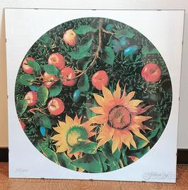 Piero Gilardi serigrafia Girasole originale 97