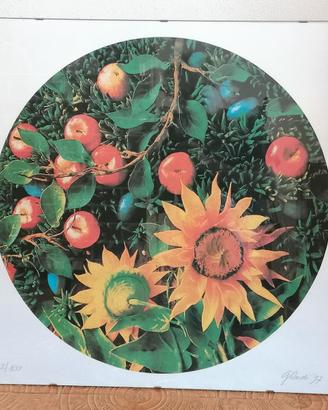 Piero Gilardi serigrafia Girasole originale 97