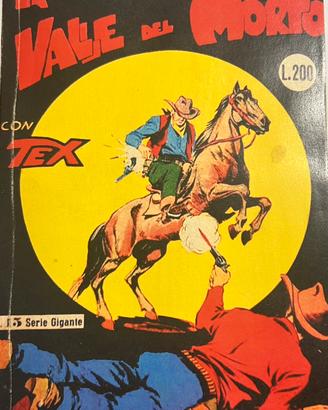 Tex 1/29. N. 15 La valle del morto