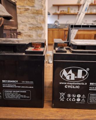 Coppia di batterie deep cycle 12V 50Ah