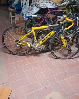 Bici da corsa giant