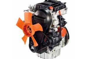 Motore Lombardini LDW 502 FOCS revisionato