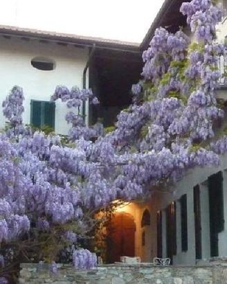 Incantevole Appartamento - vendita da privato