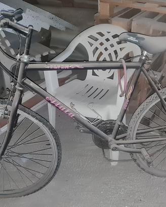 montain bike